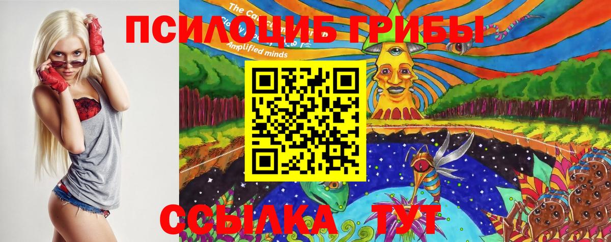 Галлюциногенные грибы MAGIC MUSHROOMS Тула