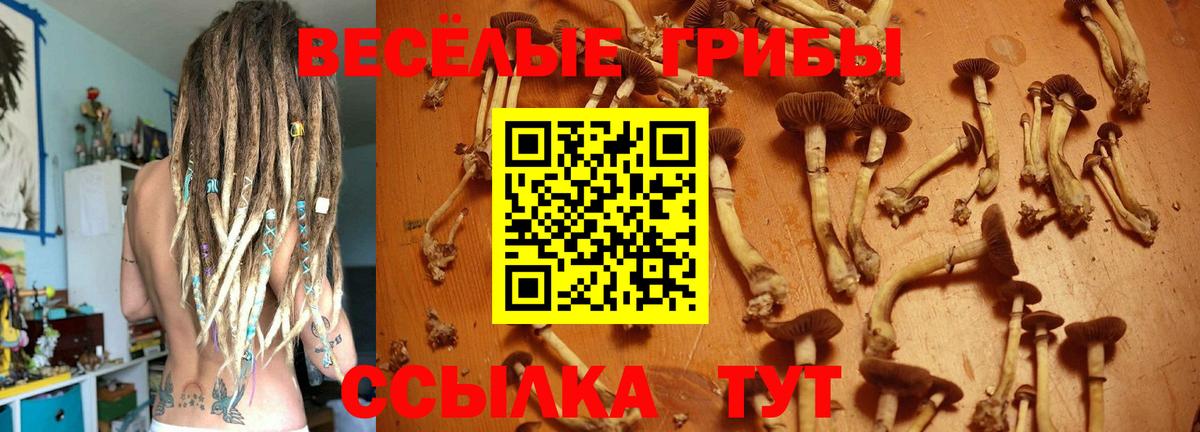 Тула  Псилоцибиновые грибы мицелий  Псилоцибиновые грибы мицелий  Вход с VPN 